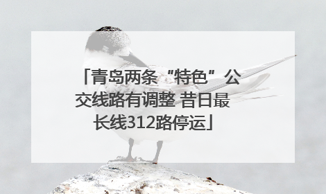 青岛两条“特色”公交线路有调整 昔日最长线312路停运
